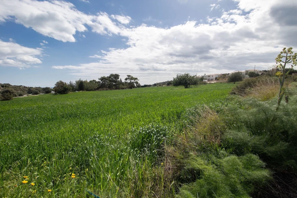 10,034m² Plot for Sale in Maroni, Larnaca District