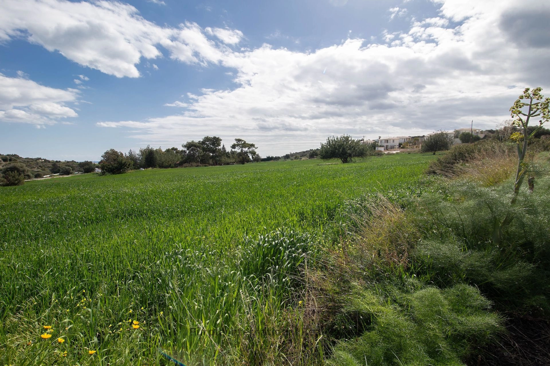 10,034m² Plot for Sale in Maroni, Larnaca District