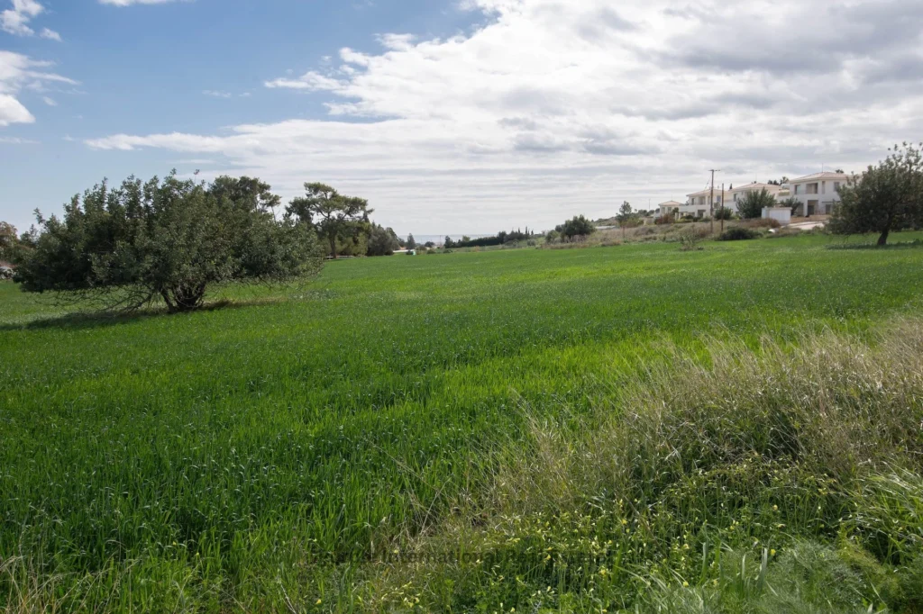 10,034m² Plot for Sale in Maroni, Larnaca District