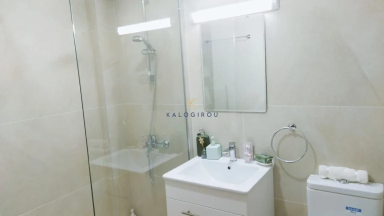 1 Bedroom Apartment for Rent in Larnaca District
