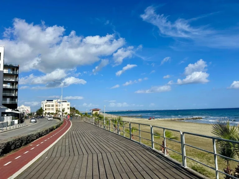 2 Bedroom Apartment for Rent in Larnaca District