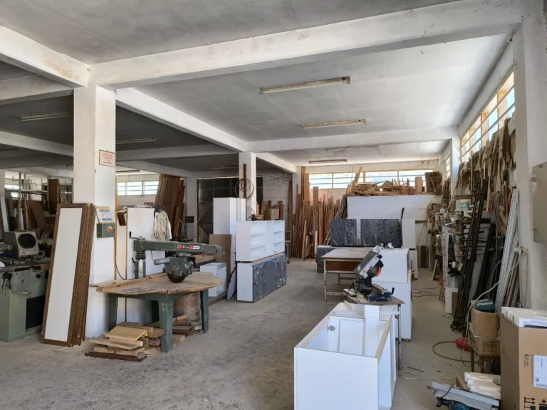 750m² Commercial for Sale in Agios Sylas, Limassol District