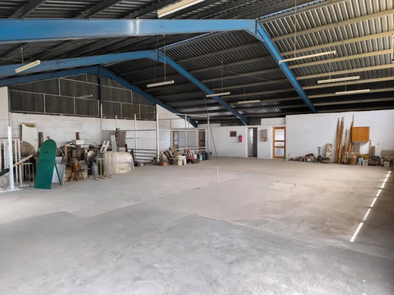 750m² Commercial for Sale in Agios Sylas, Limassol District