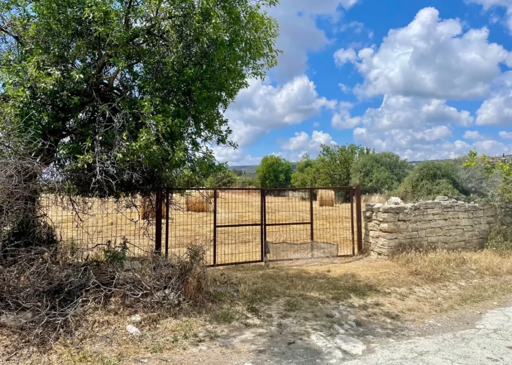 10,703m² Plot for Sale in Anogyra, Limassol District