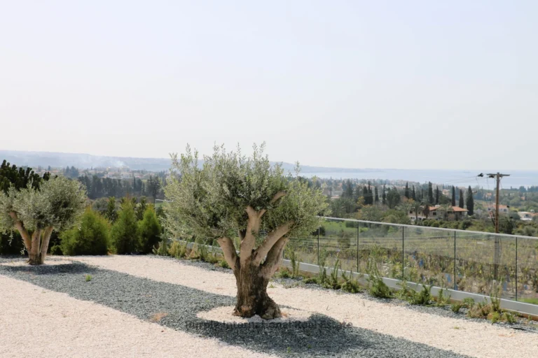 4 Bedroom House for Sale in Peyia, Paphos District