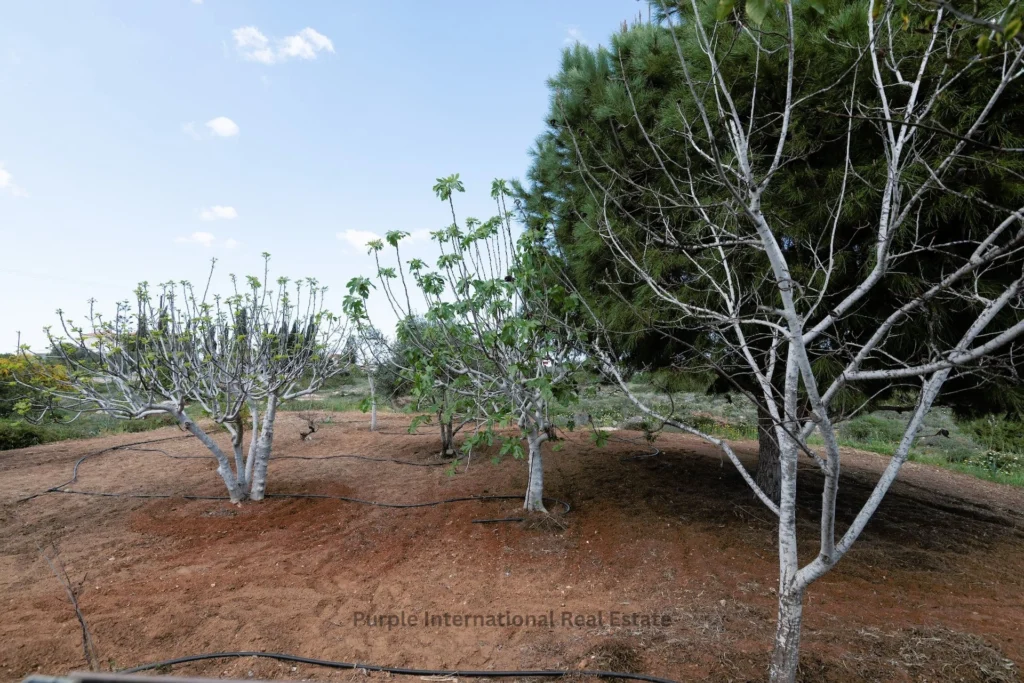 5 Bedroom House for Sale in Famagusta District