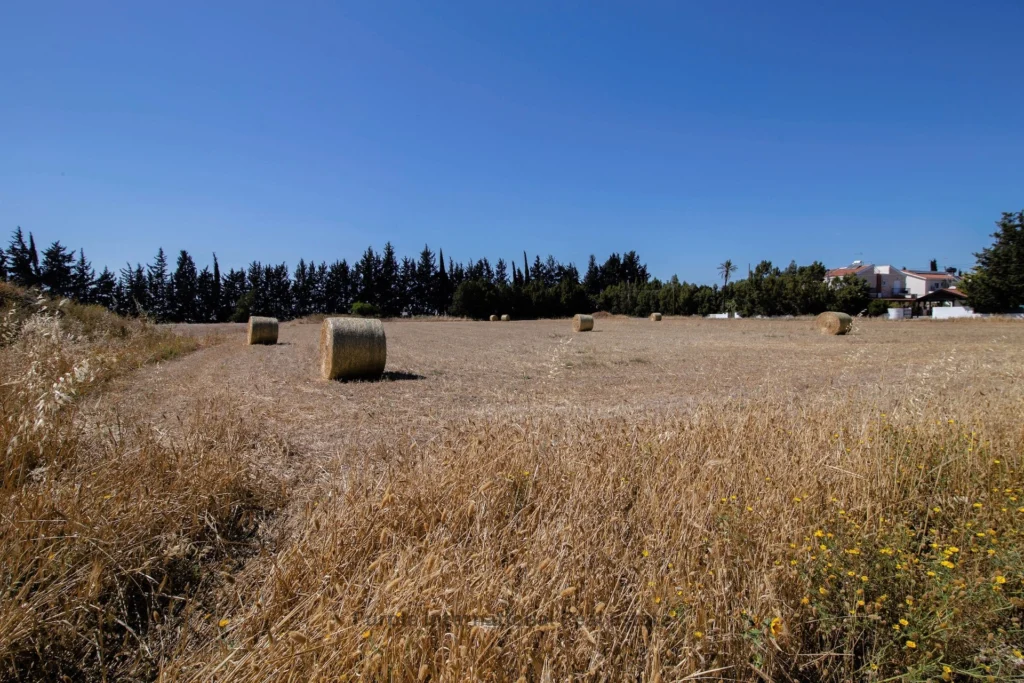 3,242m² Plot for Sale in Meneou, Larnaca District