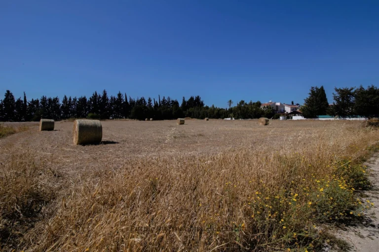 3,242m² Plot for Sale in Meneou, Larnaca District