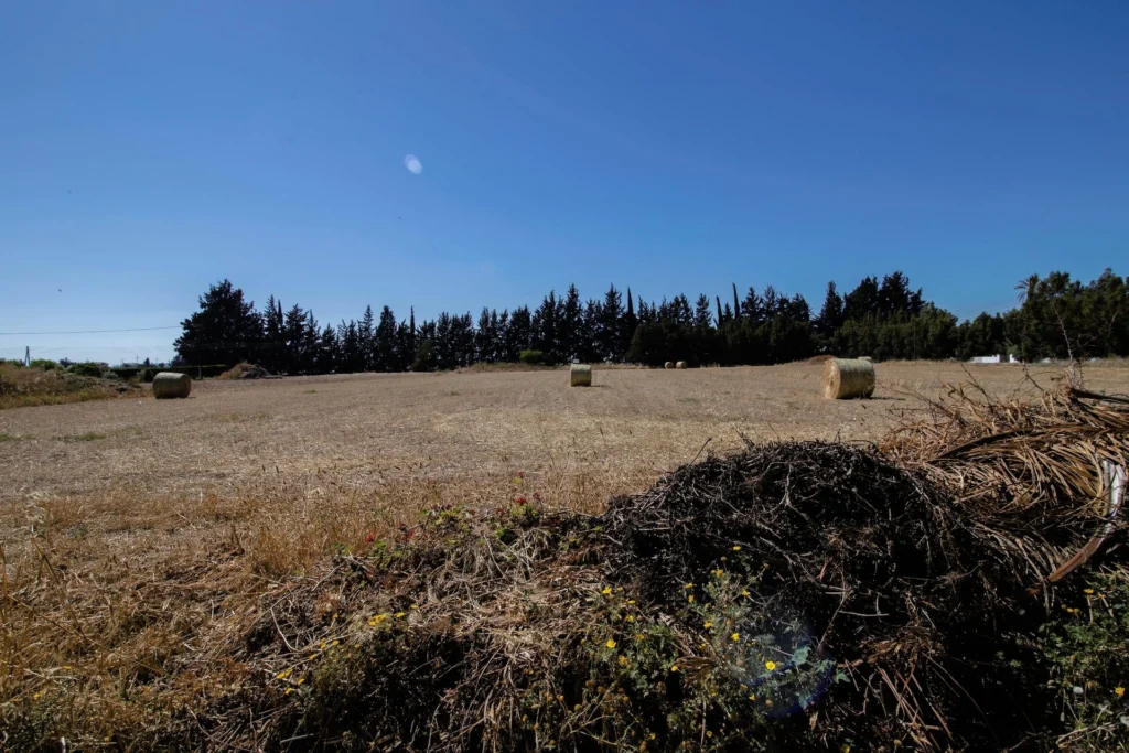 3,242m² Plot for Sale in Meneou, Larnaca District