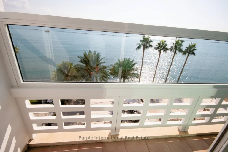 2 Bedroom Apartment for Rent in Larnaca District