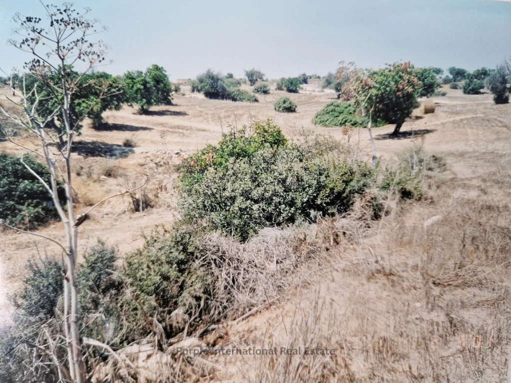 32,108m² Plot for Sale in Agios Theodoros, Larnaca District