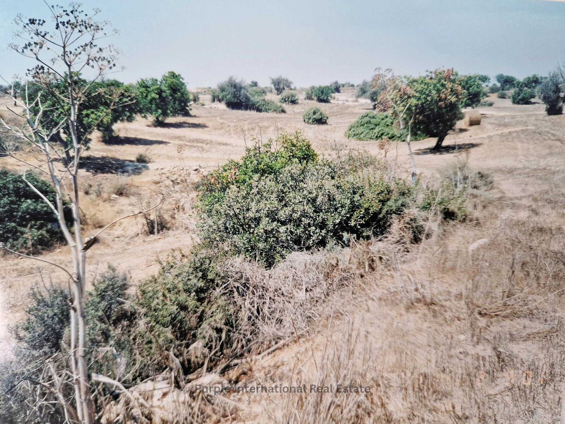 32,108m² Plot for Sale in Agios Theodoros, Larnaca District