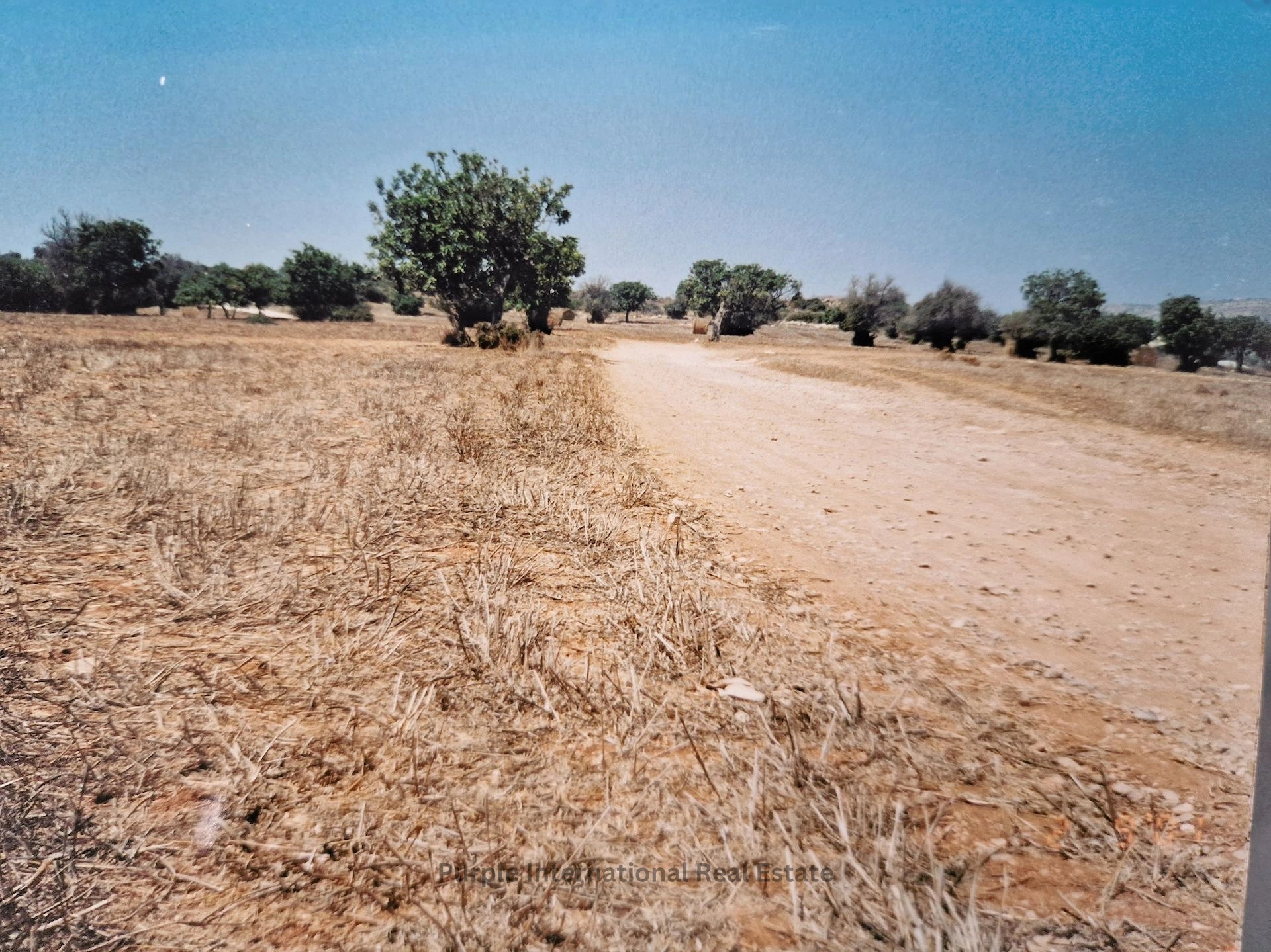 32,108m² Plot for Sale in Agios Theodoros, Larnaca District