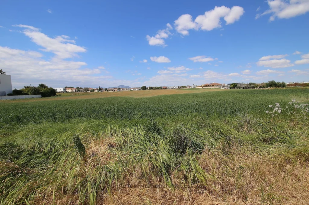 5,542m² Plot for Sale in Kiti, Larnaca District