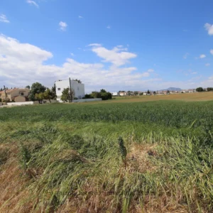 5,542m² Plot for Sale in Kiti, Larnaca District