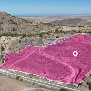 16,550m² Plot for Sale in Agia Marina Xyliatou, Nicosia District