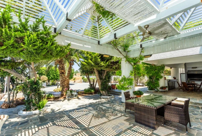 6+ Bedroom House for Sale in Armenochori, Limassol District
