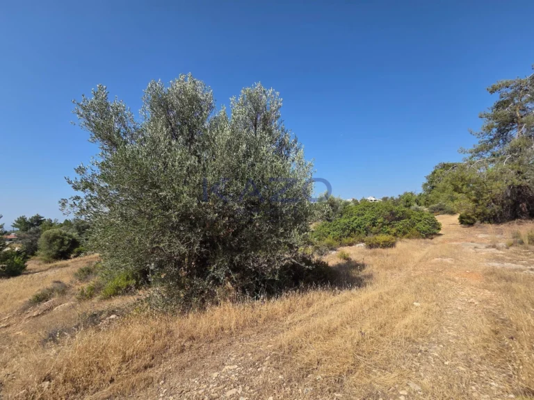 14,935m² Plot for Sale in Souni, Limassol District