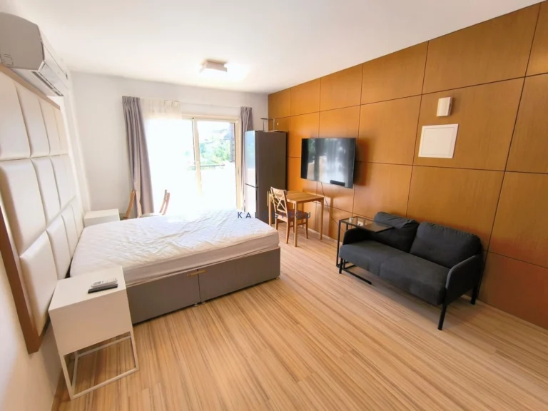 Cheap Apartments for Rent Larnaca