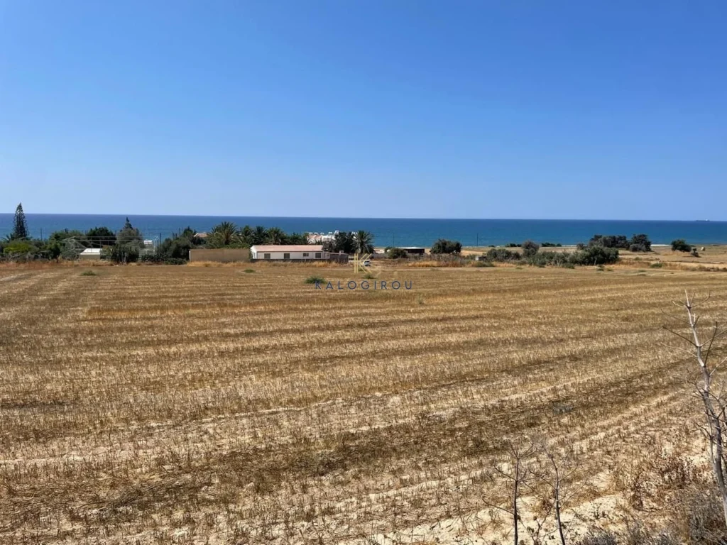 11,920m² Plot for Sale in Agios Theodoros, Larnaca District