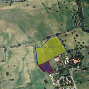 11,920m² Plot for Sale in Agios Theodoros, Larnaca District