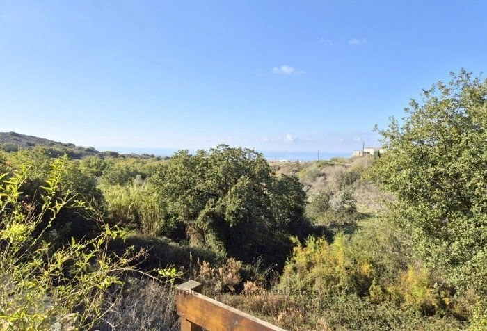 3 Bedroom House for Sale in Tala, Paphos District