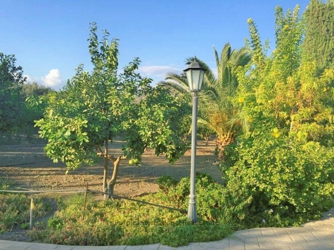 4 Bedroom House for Sale in Monagroulli, Limassol District