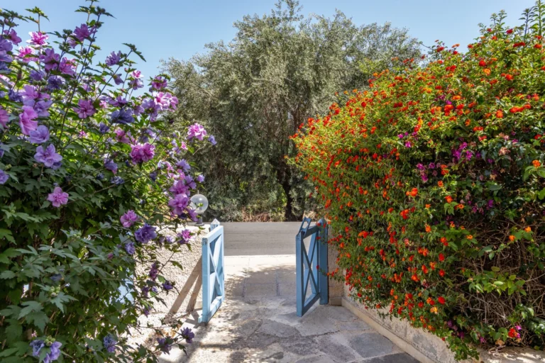 3 Bedroom House for Sale in Paphos District