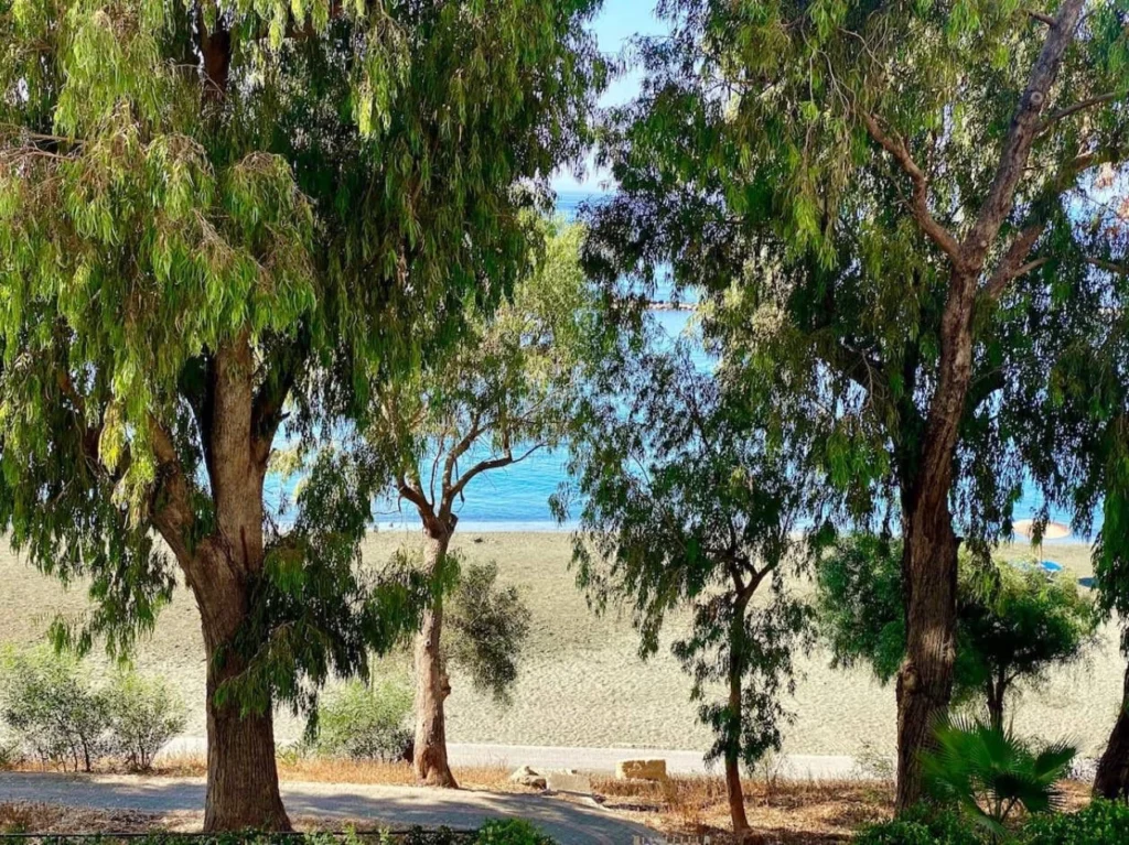 3 Bedroom Apartment for Sale in Limassol District