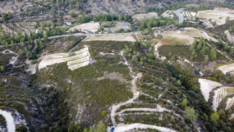 25,284m² Plot for Sale in Agios Mamas, Limassol District