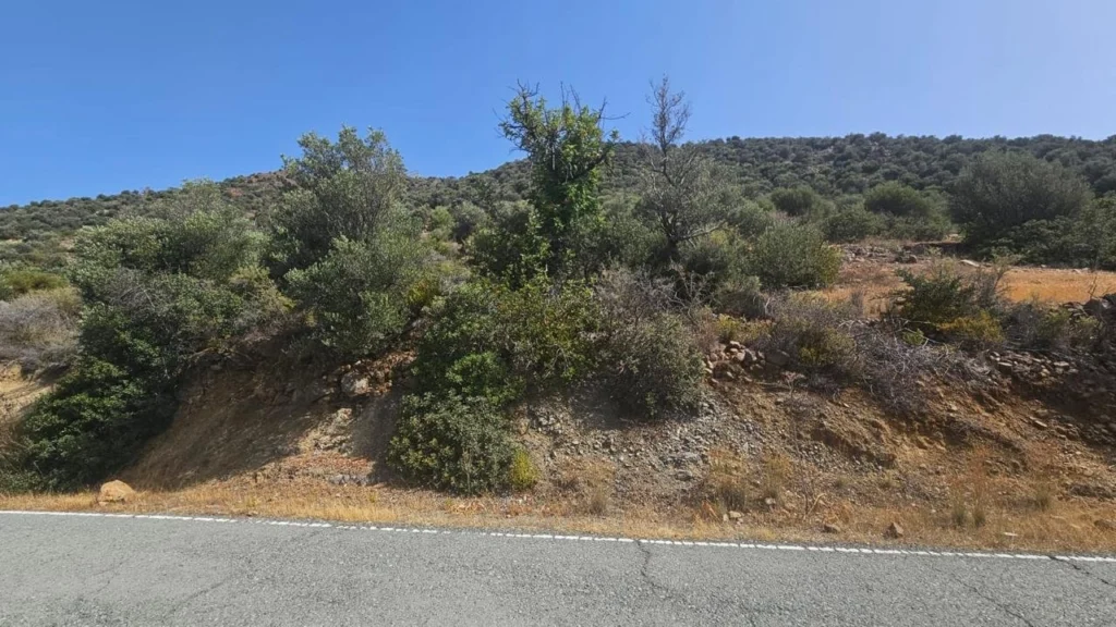 7,000m² Plot for Sale in Apsiou, Limassol District