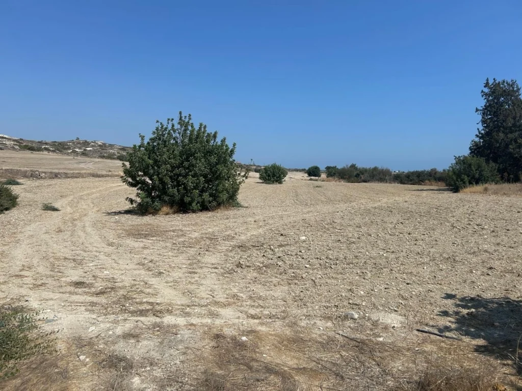 9,698m² Plot for Sale in Kalavasos, Larnaca District