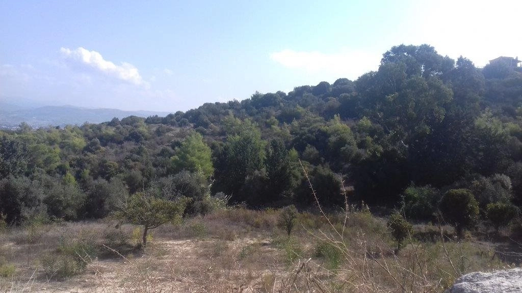 3,345m² Plot for Sale in Neo Chorio Pafou, Paphos District