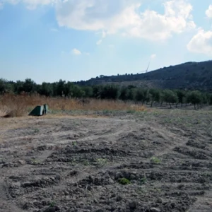 10,368m² Plot for Sale in Alethriko, Larnaca District
