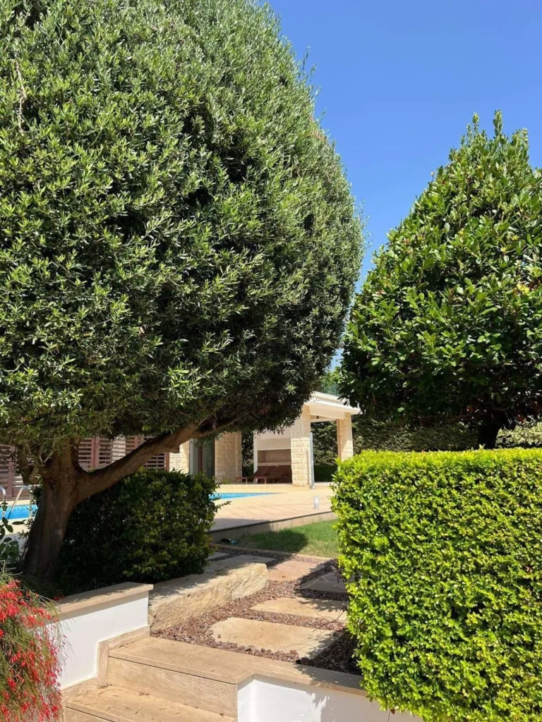 4 Bedroom House for Sale in Paphos District