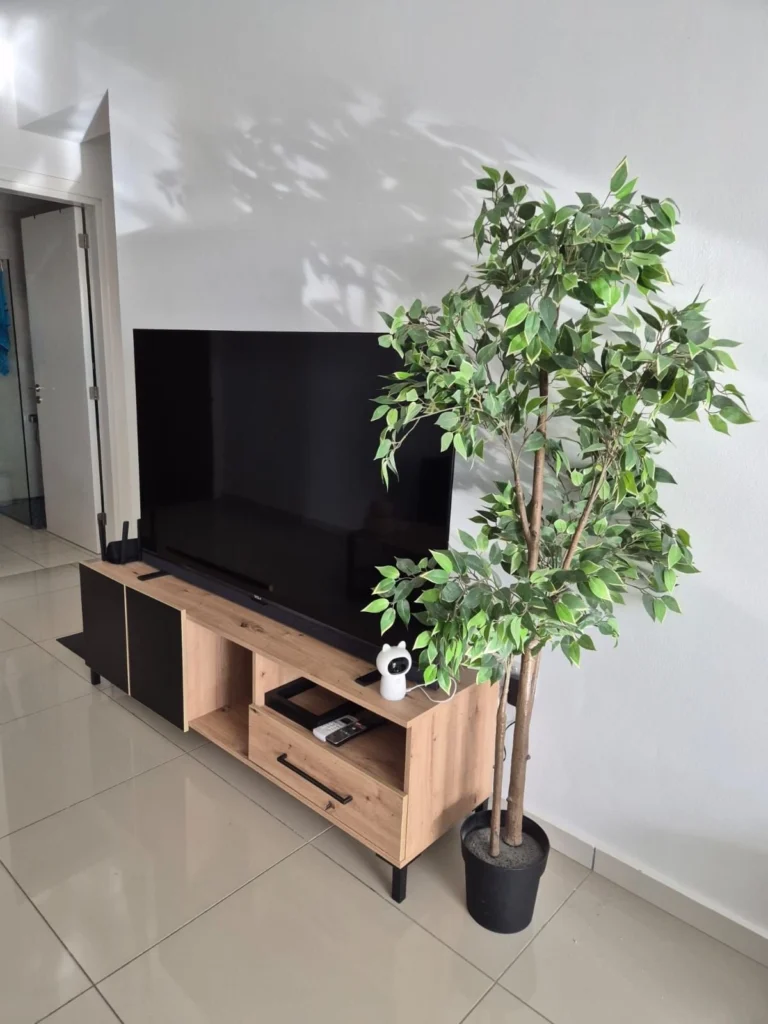 2 Bedroom Apartment for Rent in Paphos – Agios Theodoros