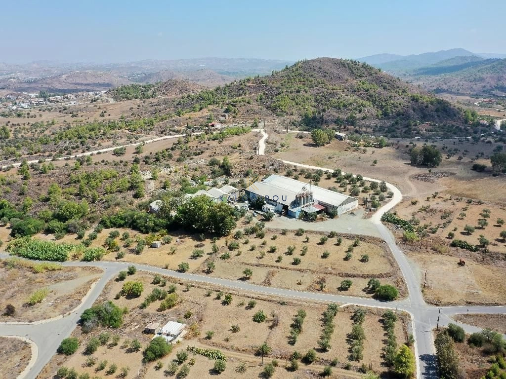 4250m² Commercial for Sale in Agia Varvara Lefkosias, Nicosia District