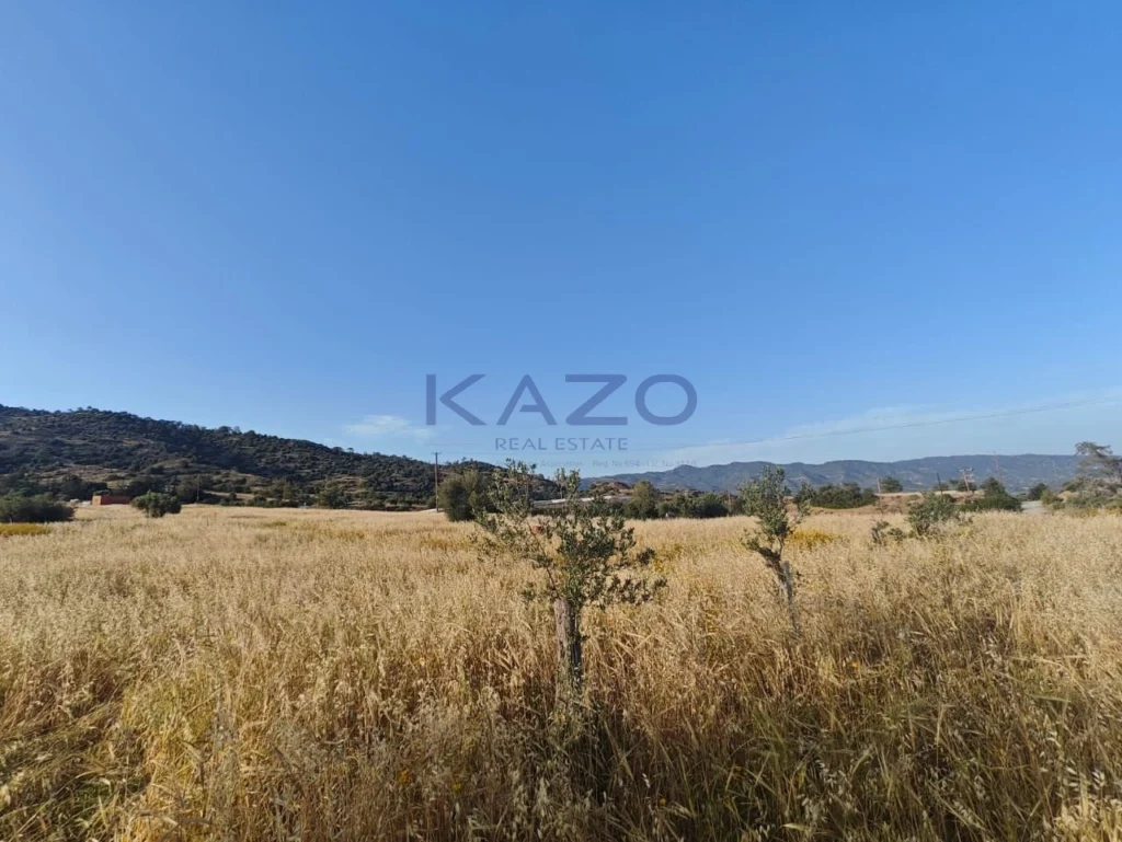 Οικόπεδο 24,661m² προς πώληση στην Παρεκκλησιά, Επαρχία Λεμεσού