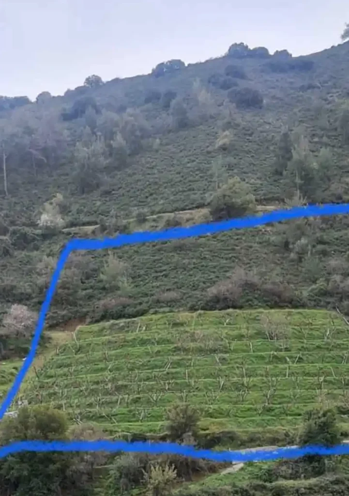 8,176m² Plot for Sale in Galata, Nicosia District