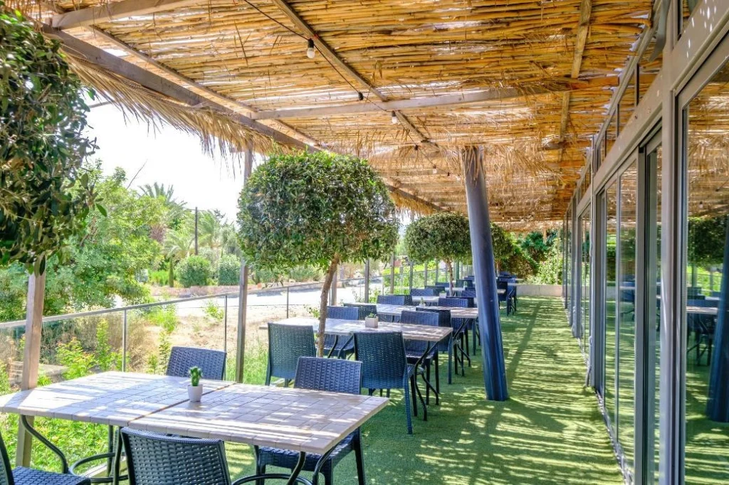 1 Bedroom Apartment for Sale in Neo Chorio Pafou, Paphos District