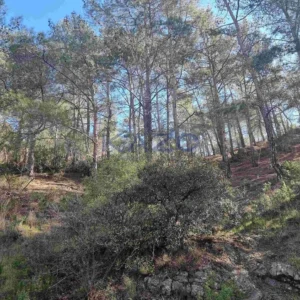 21,690m² Plot for Sale in Moniatis, Limassol District