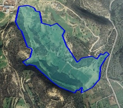 for Sale in Paphos – Agios Theodoros, Larnaca District