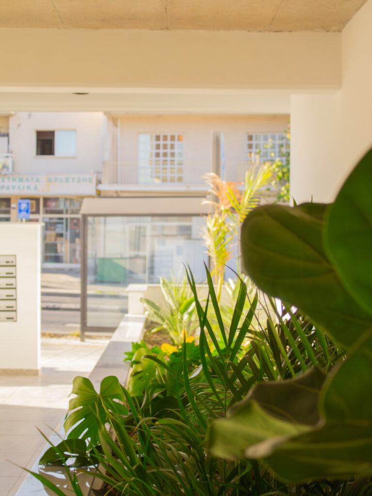 1 Bedroom Apartment for Rent in Limassol – Omonoia