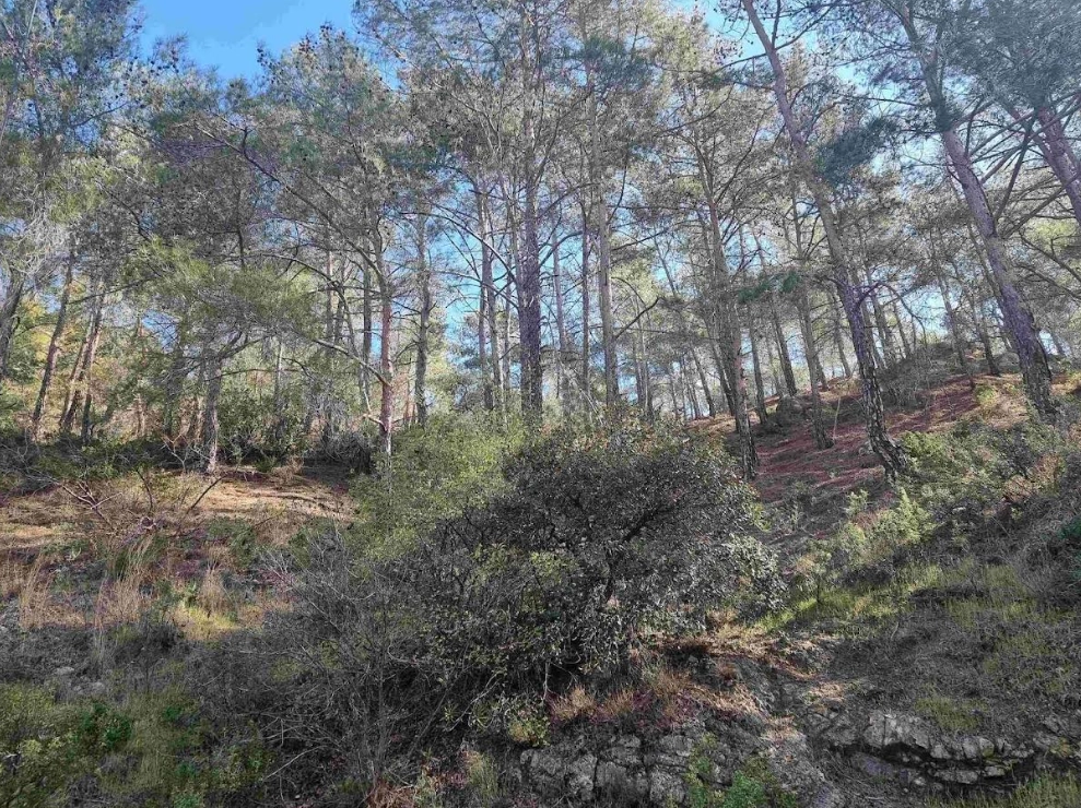 21,690m² Plot for Sale in Moniatis, Limassol District