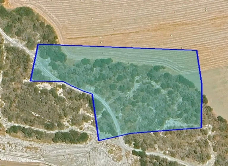 for Sale in Pyrgos Lemesou, Limassol District