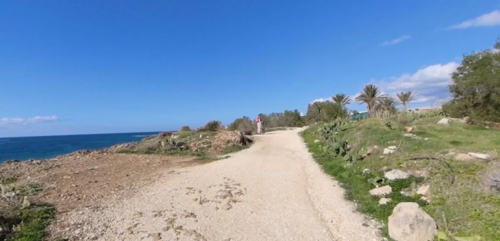 for Sale in Chlorakas, Paphos District