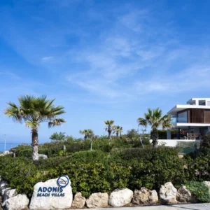 for Sale in Chlorakas, Paphos District