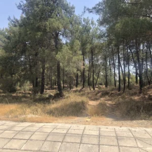 1,725m² Plot for Sale in Kornos, Larnaca District