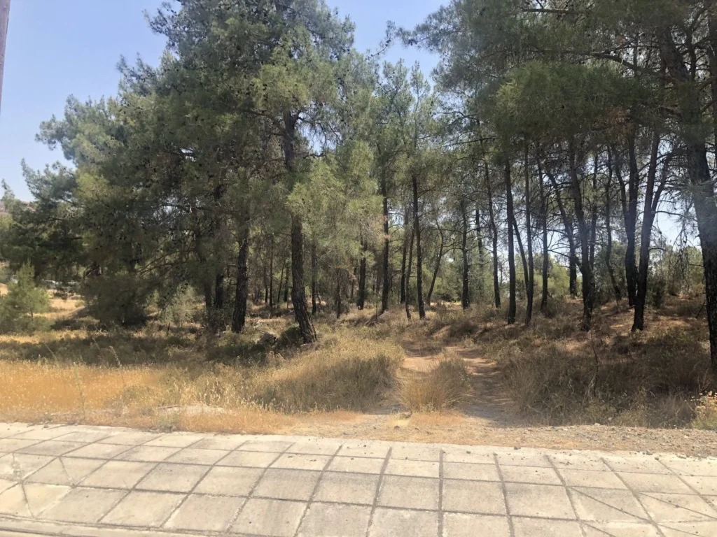 1,518m² Plot for Sale in Kornos, Larnaca District