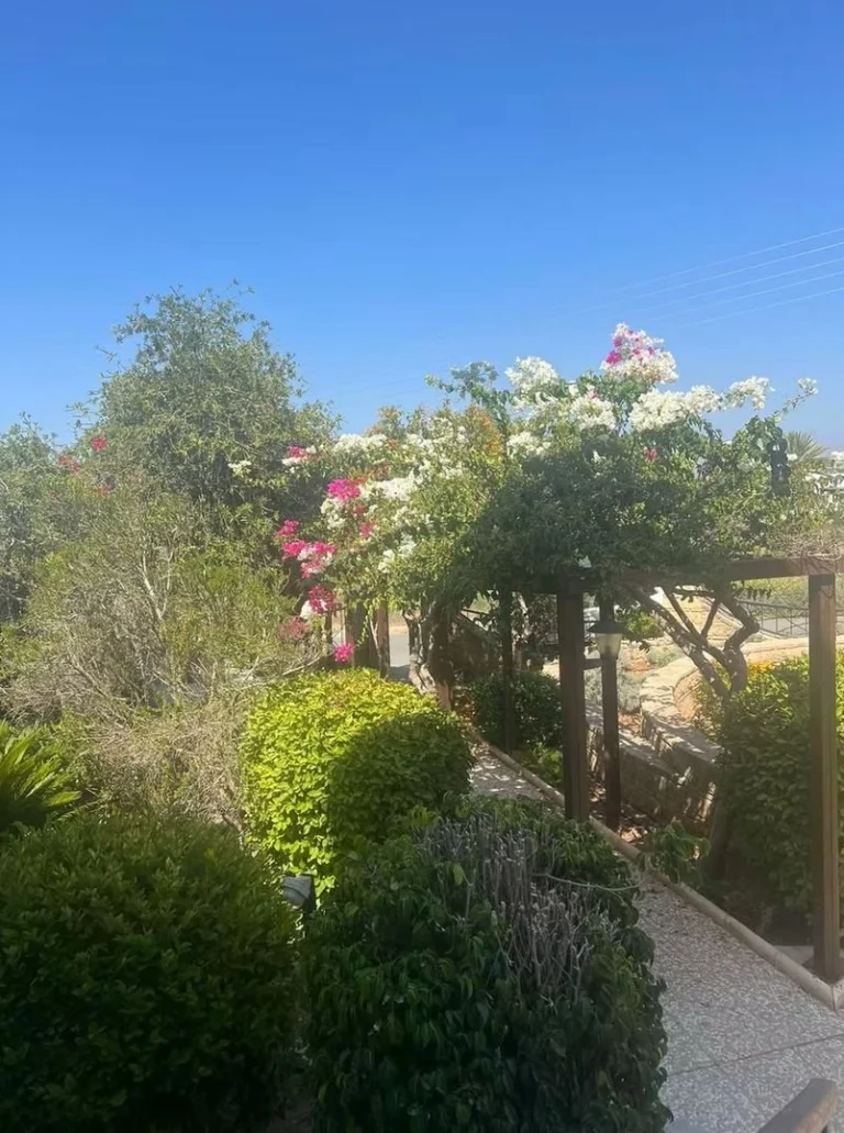 4 Bedroom House for Sale in Tala, Paphos District